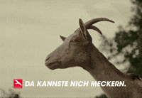 unserbrandenburg  GIF