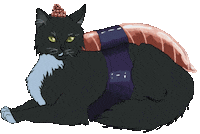 Cat Sushi Sticker