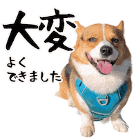 Corgi Milo Sticker