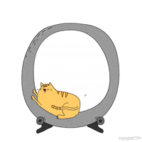 Animation Domination Lol GIF by gifnews