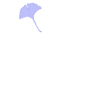Leaves Ccc Sticker by Cedar Crest College