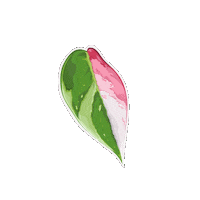 Plant Sticker by Hankō