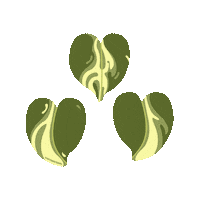 hoyabackgirl green plant plants leaves Sticker