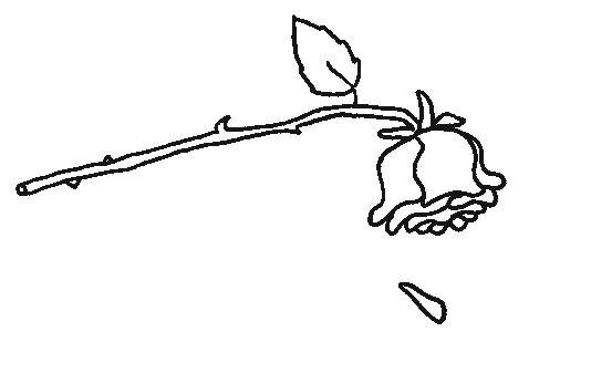 “rose”