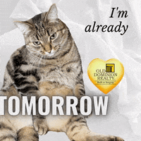 Tired Real Estate GIF by Old Dominion Realty