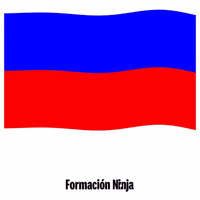 Flag Spain GIF by Formación Ninja