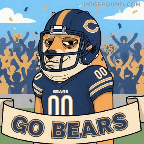 Tired Chicago Bears GIF by Doge Pound