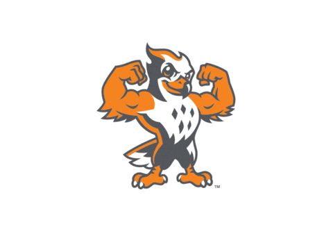 UTSouthern giphyupload utsouthern goutsfirehawks utsfirehawks Sticker