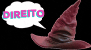 equilattero_escola harrypotter direito bixo equilattero GIF