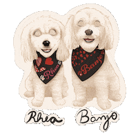 Dog Sticker