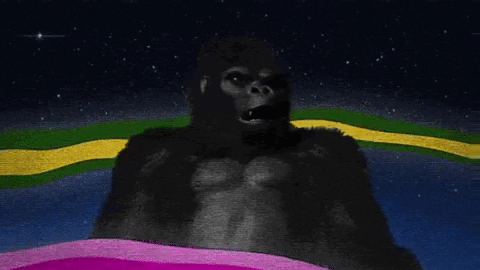 eshajainb488 giphygifmaker GIF