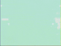 Skarmuse vhs adorable video art cult GIF