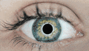 Pixel Watching GIF by MockoFun