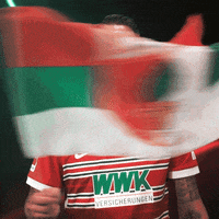 Football Sport GIF by FC Augsburg 1907