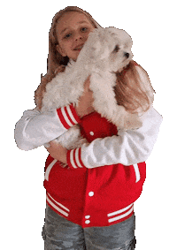 AmarinsBC doglover maltese amarinsb amarinsbronsema Sticker