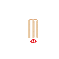 Cricket Sticker by HSBC India