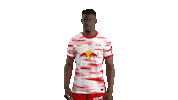 Oh Yeah Thumbs Up Sticker by RB Leipzig