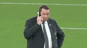 Ringing World Cup GIF by World Rugby