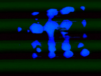 Video Art GIF by cskonopka