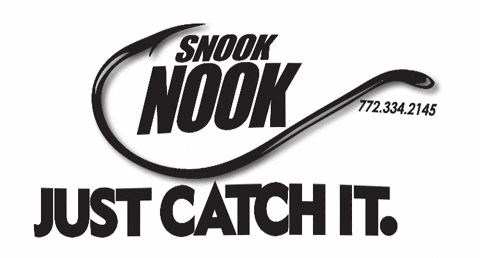 Fishing Snook GIF