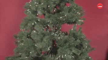 Happy Holidays!