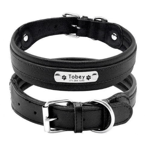 hugoscollars giphygifmaker hugo dog collar hugoscollars GIF