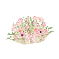 babyccinobear_ babyccino babyccino bear babyccinobear Sticker