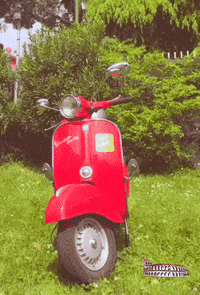 Flag Italy GIF by Vespa Club Verona