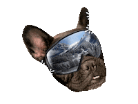 Christmas Apresski Sticker by FCB Inferno