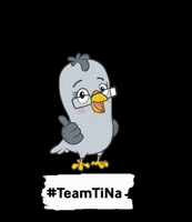 tinamachtschule nachhaltigkeit spenden bildung tierschutz GIF