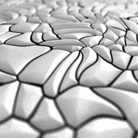 Black And White Loop GIF by xponentialdesign