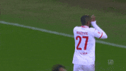 2. bundesliga football GIF by 1. FC Köln
