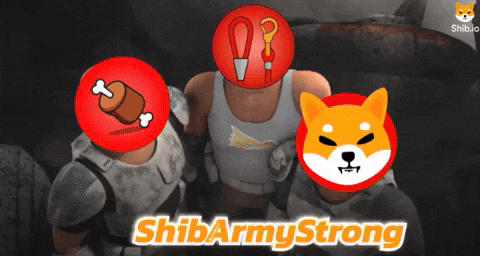 Shiba Inu GIF by SHIB MEMES