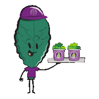 Salad Serving Sticker by 80 Acres Farms