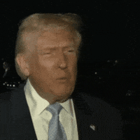 News Trump GIF
