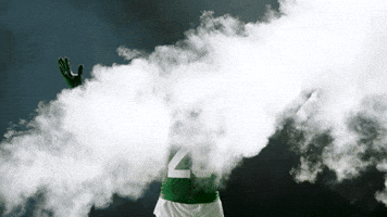 Football Nfl GIF by New York Jets