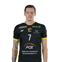 Volleyball Leman Sticker by PGE GiEK Skra Bełchatów