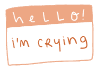 My Name Is Hello Sticker by karlamontz