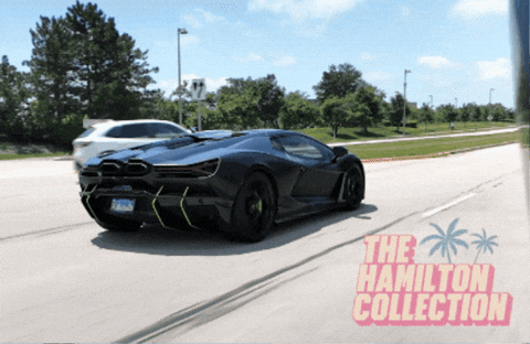 Revuelto GIF by TheHamiltonCollection