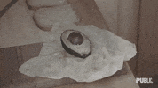 GIF by The Public Theater