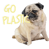 Dogs Pug Sticker by friendlyshop