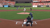 Home Run Baseball GIF by Toronto Blue Jays