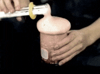 taylor swift GIF