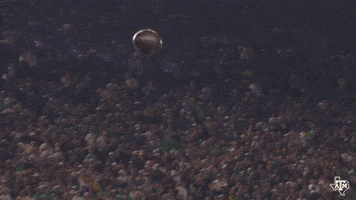Football Catch GIF by Texas A&M Athletics