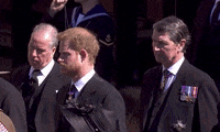 Prince Harry GIF by GIPHY News