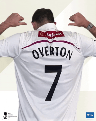 Overton GIF by Somerset County Cricket Club