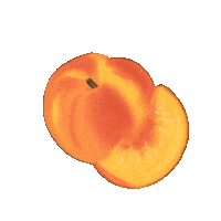 Vegan Fruit Sticker