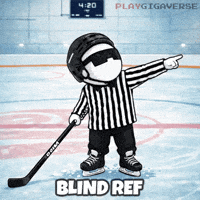 Ice Hockey GIF