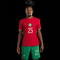 Fifa World Cup Morocco GIF by Respective