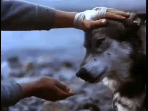 marie-adelecopin giphygifmaker GIF